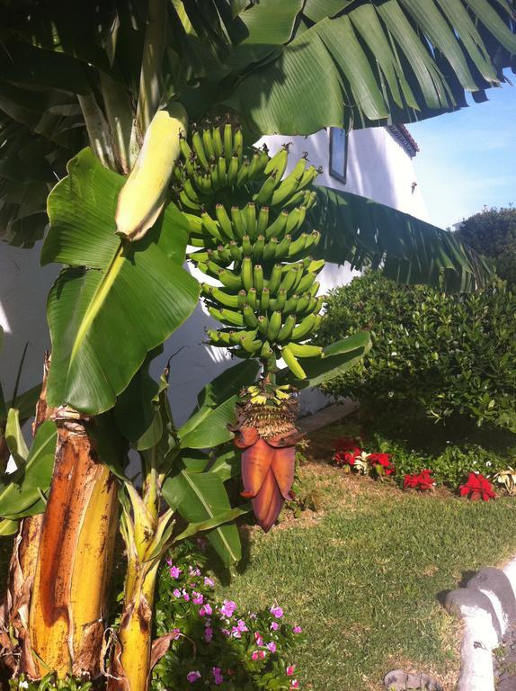 Apartment Eden Island Village Costa Adeje Dış mekan fotoğraf